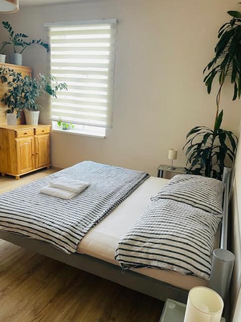 Apartman Lucian Prague Ngoại thất bức ảnh